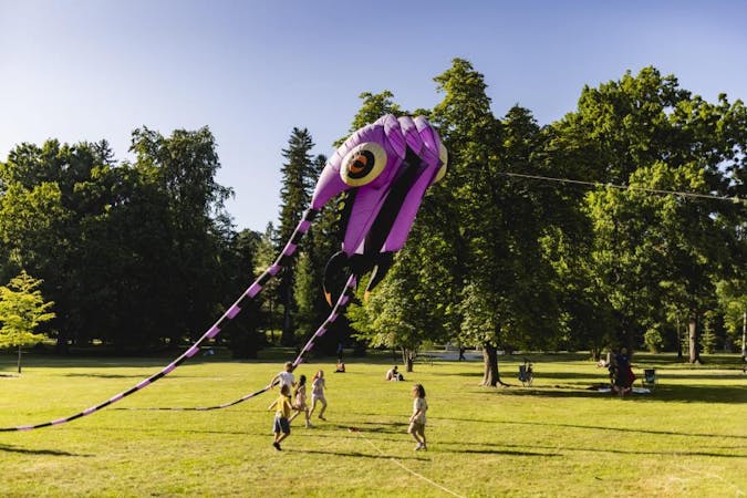 Poletni Art kamp • Smučarska odisejada